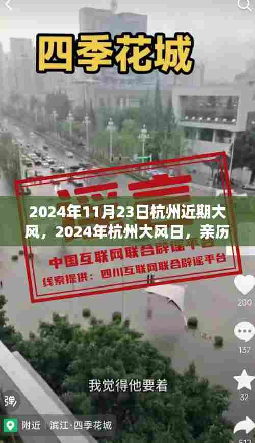 亲历大风下的杭州魅力与挑战,2024年杭州大风日实录