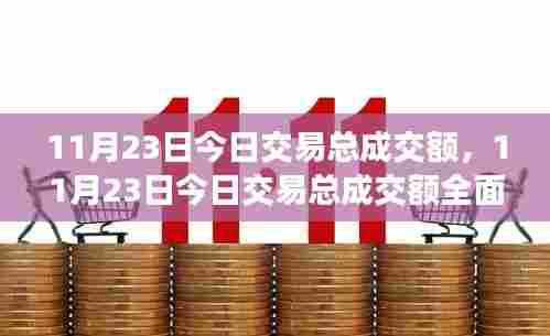 11月23日今日交易总成交额,11月23日今日交易总成交额全面评测与介绍