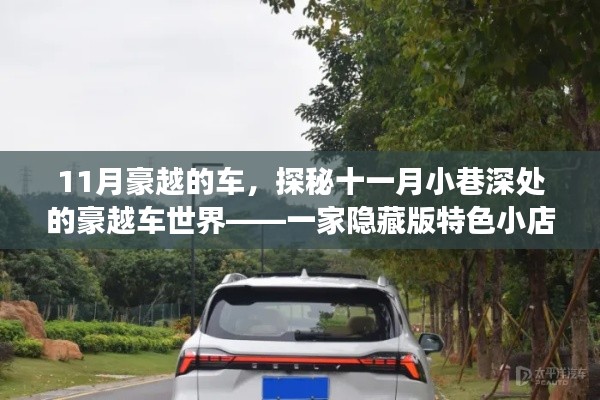 项目介绍 第548页