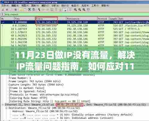 解决IP流量问题指南,应对11月23日IP无流量情况的策略