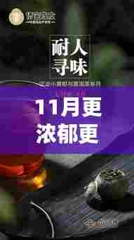 深度测评与介绍,11月,浓郁醇香的季节