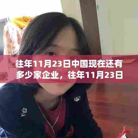 往年11月23日中国企业数量及其发展趋势深度分析,企业数量与趋势展望