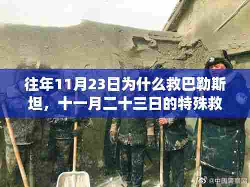 往年11月23日巴勒斯坦救援行动,爱与陪伴的力量背后的特殊救援之旅揭秘