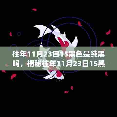 揭秘往年11月23日15时黑色的秘密,纯黑背后的故事与影响探究
