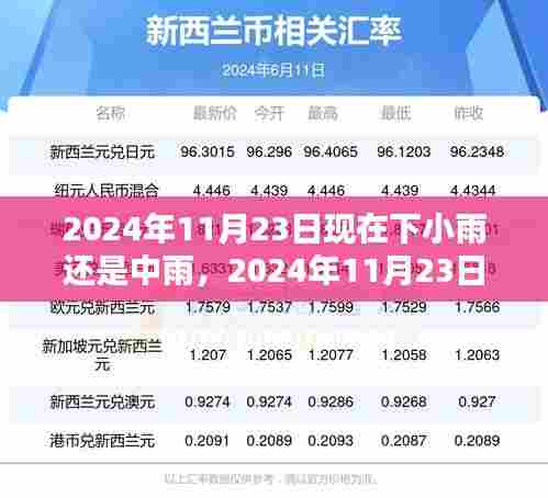 2024年11月23日雨情解析,小雨还是中雨?