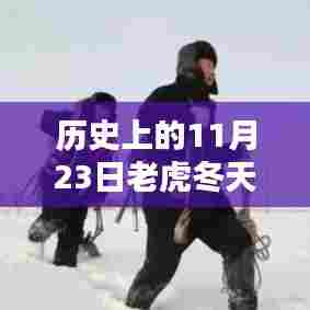 老虎冬日的传奇,秘境探秘与小巷风味揭秘