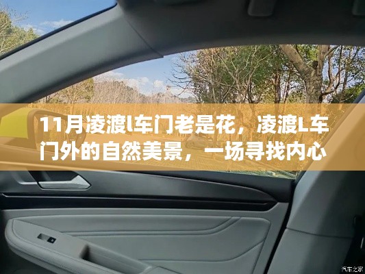 凌渡L车门之旅,探寻自然美景,寻找内心平静
