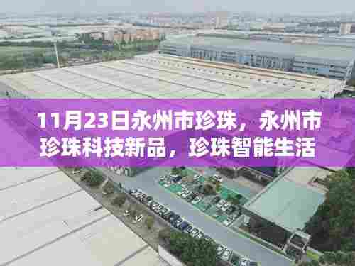 新闻动态 第565页