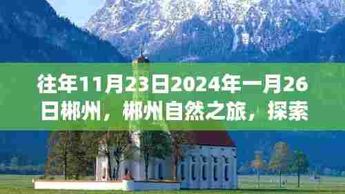 联系我们 第523页