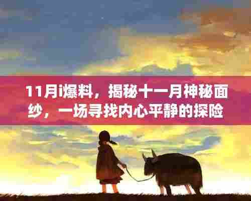 揭秘十一月神秘面纱,探险之旅带你远离尘嚣,拥抱大自然的怀抱
