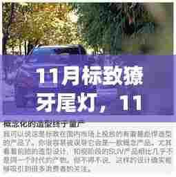 11月标致獠牙尾灯设计评析,审美之争与个人立场探索