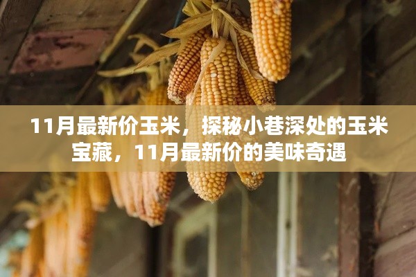 11月最新价玉米,探秘小巷深处的玉米宝藏,11月最新价的美味奇遇