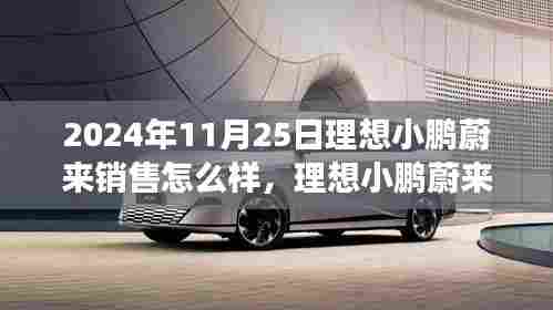 探寻未来汽车市场新纪元,理想小鹏蔚来销售风云录,展望2024年销售趋势
