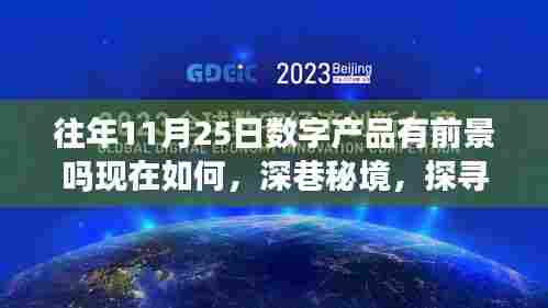 深巷秘境中的数字产品宝藏店,探寻数字产品新机遇与往年11月25日的发展前景分析
