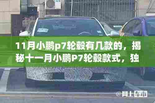 揭秘十一月小鹏P7轮毂款式,独特魅力一览无遗