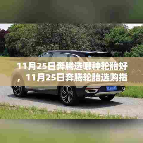 11月25日奔腾轮胎选购全面解析,特性、使用体验与目标用户群体分析