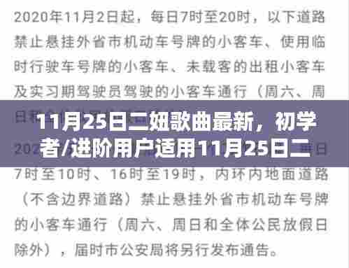 11月25日二妞歌曲最新,适合初学者与进阶用户的聆听与下载指南