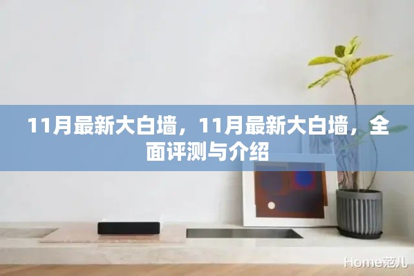 最新大白墙评测与介绍,全面解析11月流行趋势