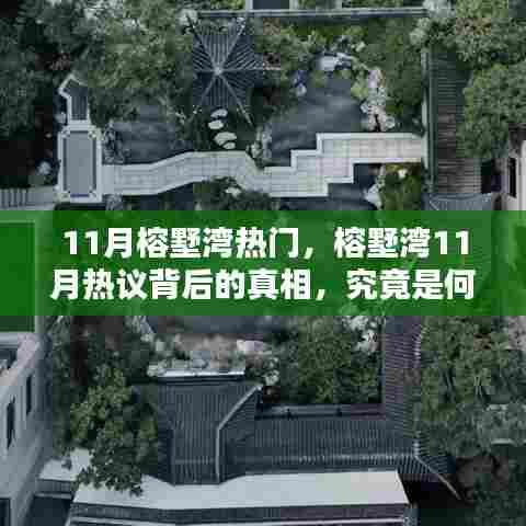 榕墅湾11月热议背后的真相,揭秘引发热度的关键因素