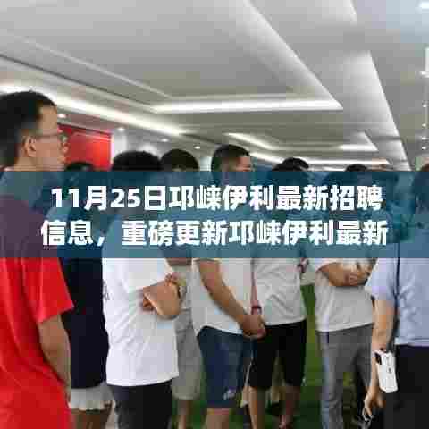 邛崃伊利最新招聘重磅更新,开启职场新篇章!