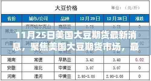 11月25日美国大豆期货市场动态与趋势分析,最新消息一览