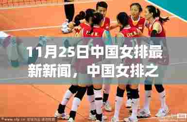 中国女排最新动态揭秘,心灵探寻之旅启程跟随自然脚步