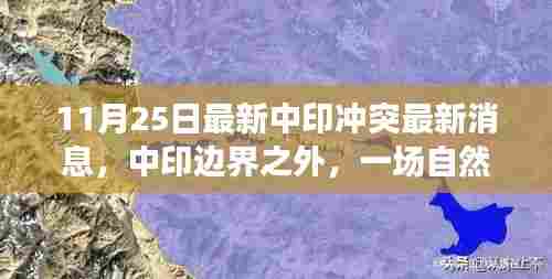 荆钗布裙 第5页