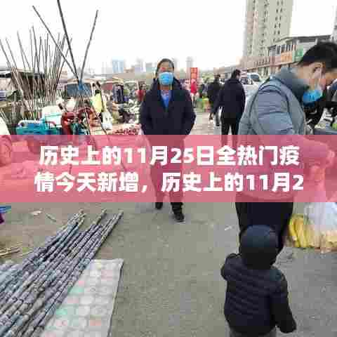 历史上的11月25日疫情数据解析与今日新增处理指南,疫情数据对比与应对策略探讨