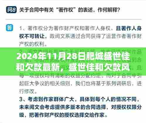 盛世佳和欠款风波揭秘,真相与启示