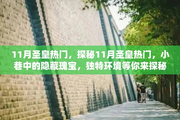 探秘十一月圣皇热门,小巷中的隐藏瑰宝,独特环境等你来冒险!