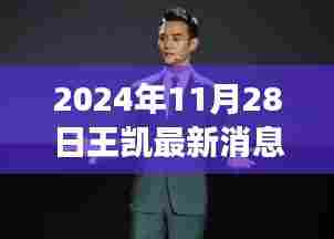 2024年11月28日王凯最新消息,王凯演艺之路新动向,2024年11月28日的视角