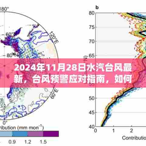 2024年水汽台风最新预警,应对指南与准备建议(初学者与进阶用户必备)