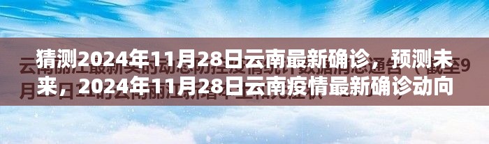 2024年11月28日云南疫情最新确诊动向分析与预测