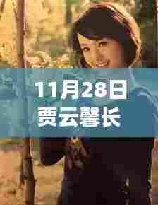 贾云馨最新长发照片揭秘,小巷宝藏与特色小店的独特魅力