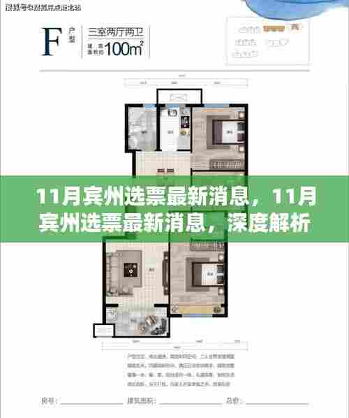 宾州选举最新动态，选票分析与态势深度解析