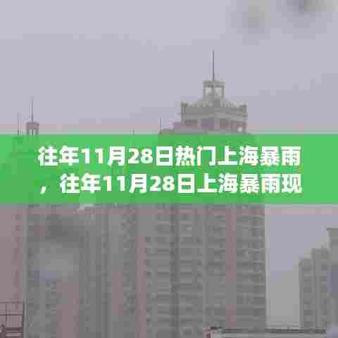 吉光片羽 第4页