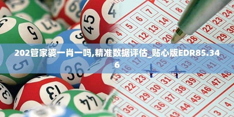 202管家婆一肖一吗,精准数据评估_贴心版EDR85.346