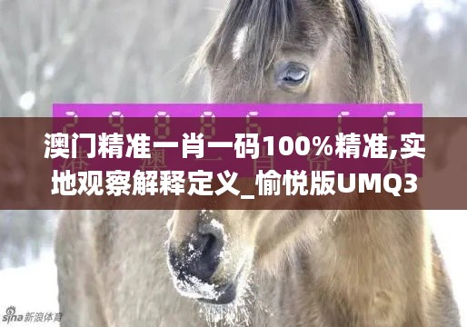 澳门精准一肖一码100%精准,实地观察解释定义_愉悦版UMQ35.480