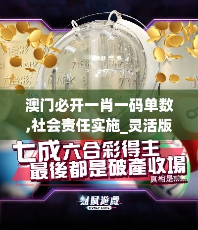 澳门必开一肖一码单数,社会责任实施_灵活版VSJ24.877