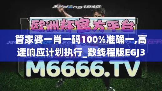 管家婆一肖一码100%准确一,高速响应计划执行_数线程版EGJ37.747