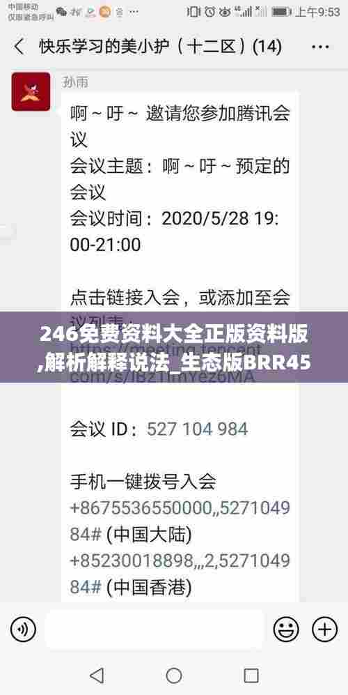246免费资料大全正版资料版,解析解释说法_生态版BRR45.605