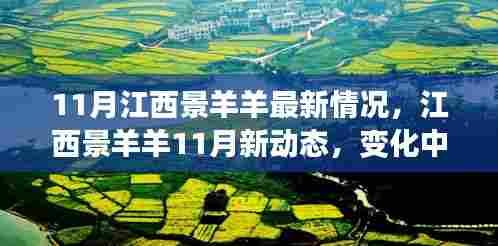 江西景羊羊11月最新动态,学习之旅中的变化与成就之源
