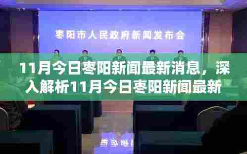 11月枣阳新闻最新消息解析,特性、体验、竞品对比及用户群体深度分析
