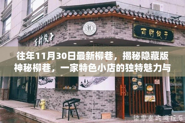 揭秘神秘柳巷特色小店的魅力与探索之旅