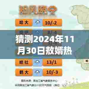 2024年11月30日敖婿文化与情感交融盛宴,热门趋势预测与深度解读