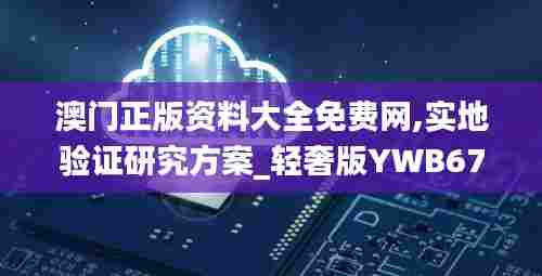 澳门正版资料大全免费网,实地验证研究方案_轻奢版YWB67.941