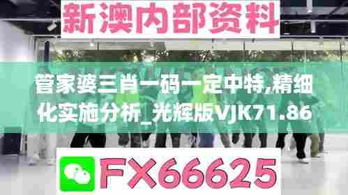 管家婆三肖一码一定中特,精细化实施分析_光辉版VJK71.865