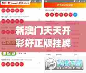 新澳门天天开彩好正版挂牌2024,精准分析实践_设计师版DDY10.830