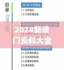 2024新澳门资料大全,快速实施解答研究_程序版SHC31.919