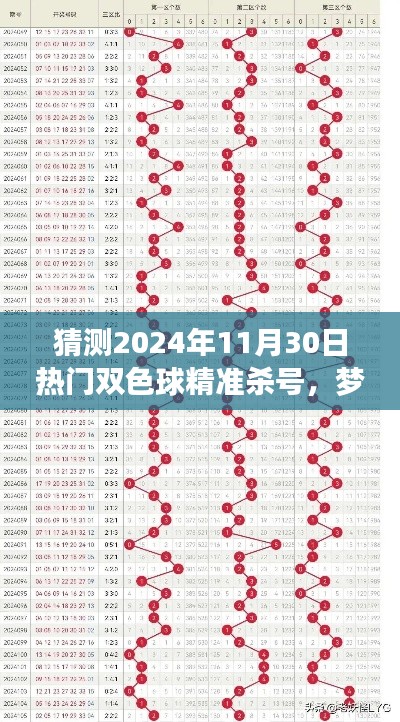 2024年双色球预测,精准杀号指南,自信成就未来梦想起航